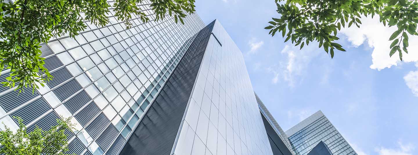Looking upward from base of three glass faced skyscrapers with tree branches in foreground